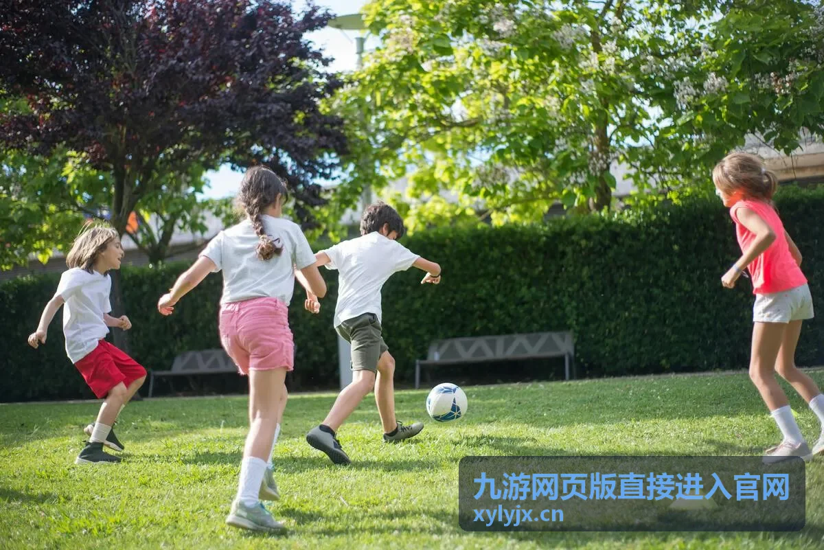 九游网页版直接进入官网新手上手步骤示意画面